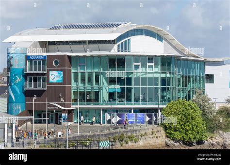 National Marine Aquarium