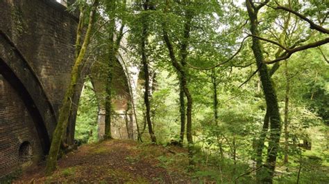 National Trust - Plymbridge Woods