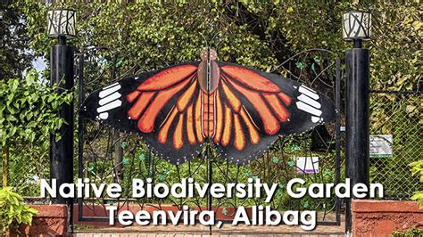 Native Biodiversity Garden