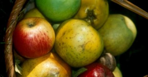 Natural products à Tolla