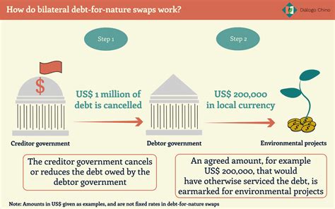 Nature of the Debt