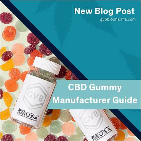 Navigating the World of CBD Gummies: Insights from Reddit and Beyond