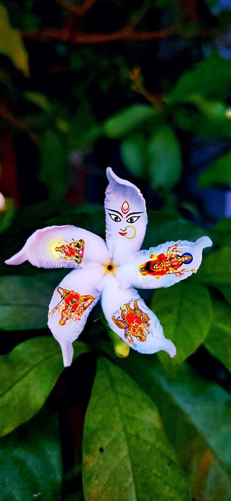 Nawa Durga Flower Decoration