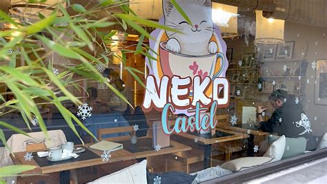 Neko Castel à Foix