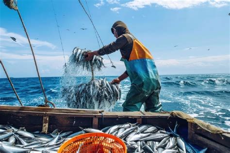 Nelayan menangkap ikan