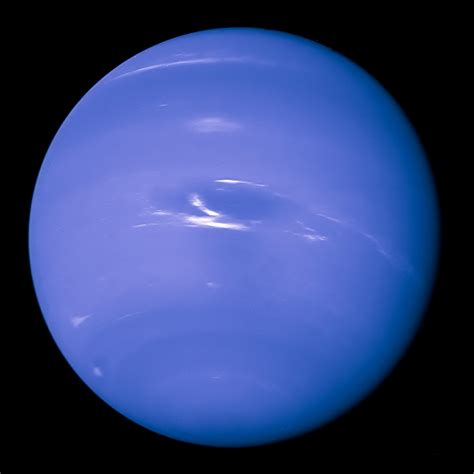 Neptune & Prawn
