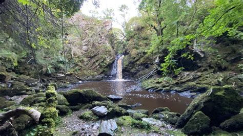 Ness Country Park