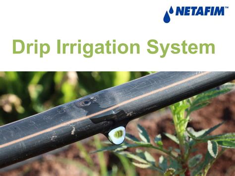 Netafim Irrigation India Pvt. Ltd