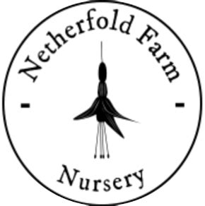 Netherfold Nursery