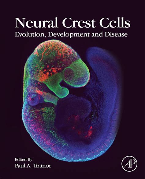 ^^^^ Download Pdf Neural Crest Cells Books