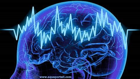 Neurophysiologe