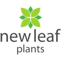 New Leaf Plants Ltd