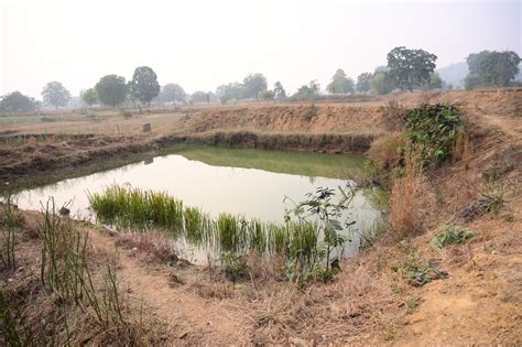 New Pond, GUrandi