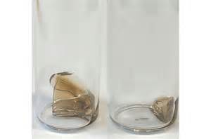 New plastics designed to degrade on demand may help ...