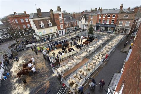 Newark Cattle Market Co Ltd