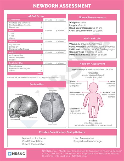 Newborn Exam Template