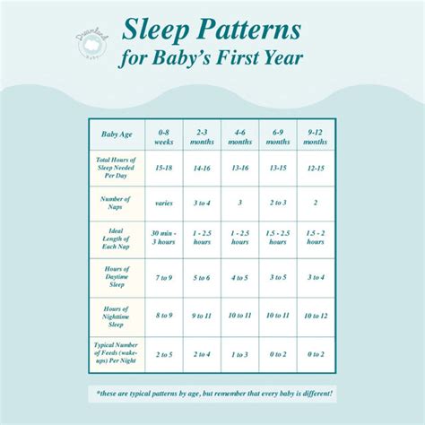 Newborn Sleep Cycle Chart