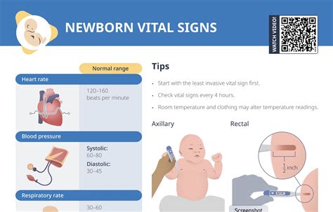 Newborn Vital Signs Chart