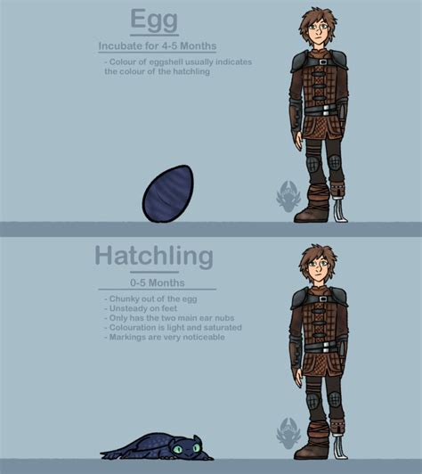 Night Fury Age Chart