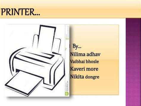 Nilima Printers & Varieties (CSC)
