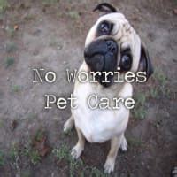 No Worries Pet Care