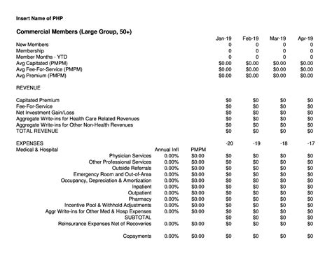 Nonprofit Financial Projections Template