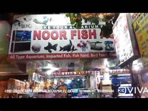 Noor Fish Aquarium