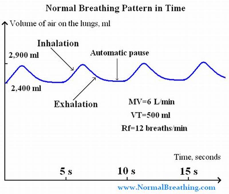 Normal Breathing Pattern