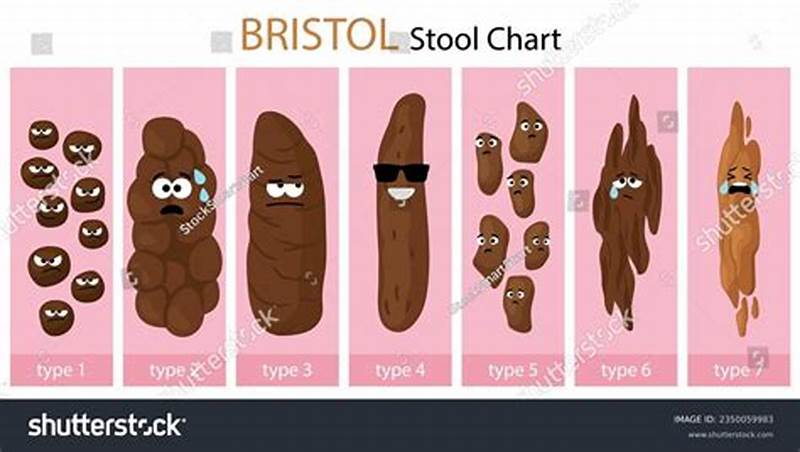 Normal Poop Chart