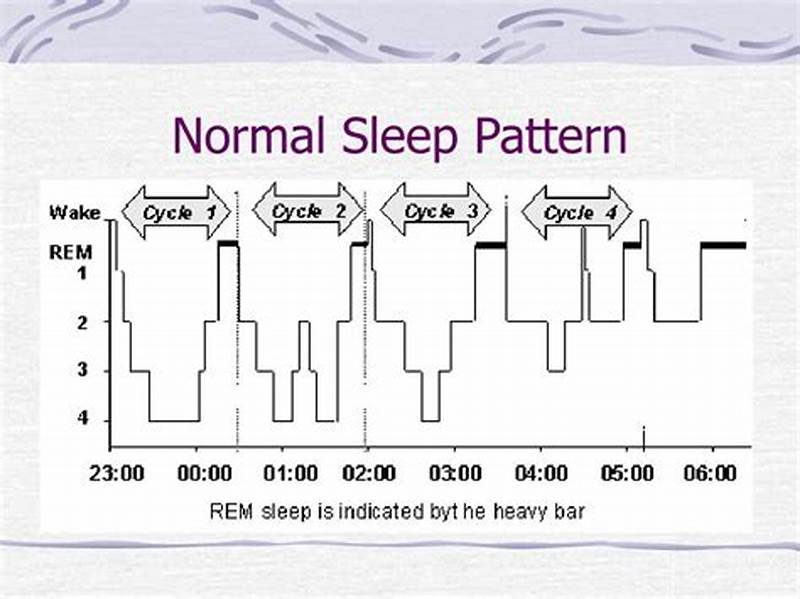 Normal Sleep Pattern