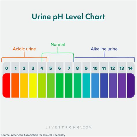 Normal Urine Ph Level Chart