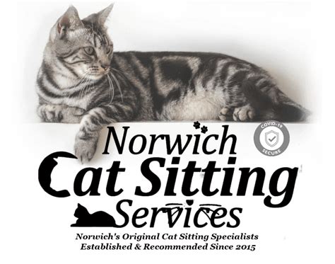 Norwich Cat Sitting Services - Norwich’s original cat sitting specialists