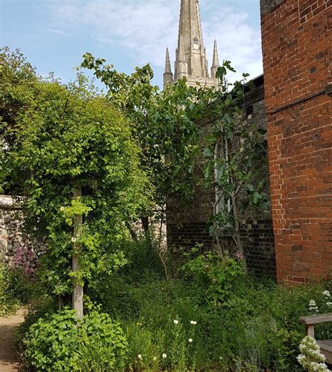 Norwich Cathedral Herb Garden