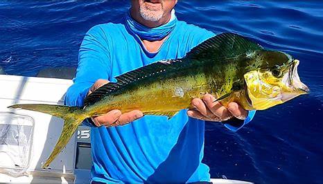 Notable Catches in Key Largo