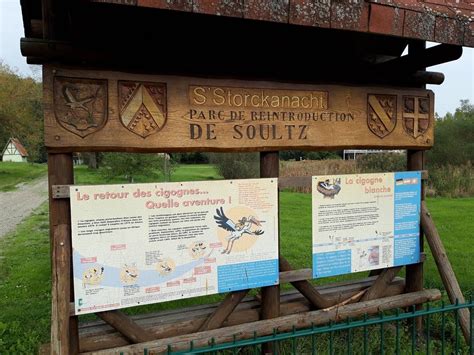 Novalsace à Soultz-Haut-Rhin