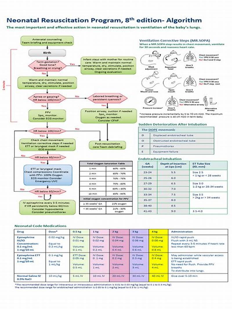 Nrp 8th Edition Algorithm Printable