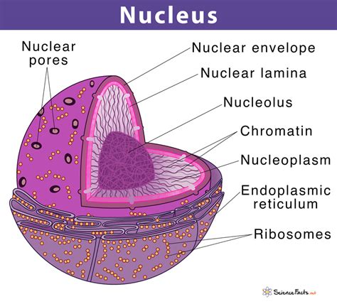 Parts