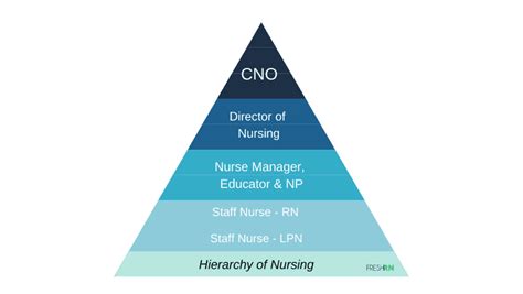 Nursing Hierarchy Chart