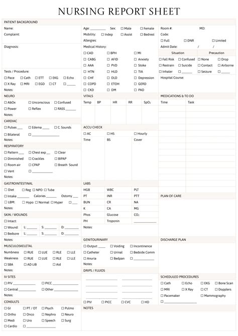 Nursing Report Template