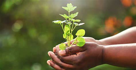 Nurture tervisepood 