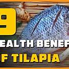 Nutritional benefits of tilapia