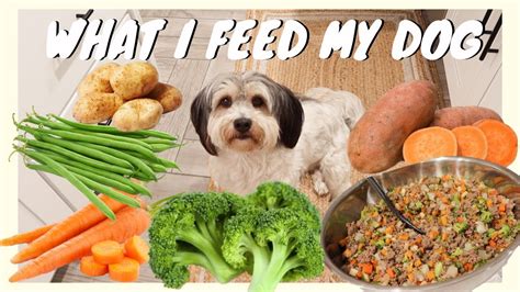 Food for Pets