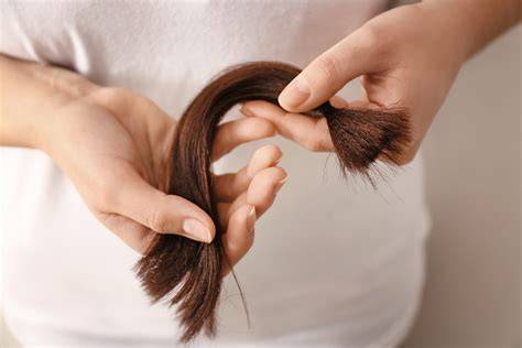 OÜ Haare 