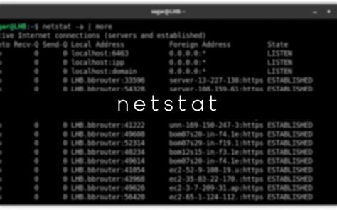OÜ Netstat 