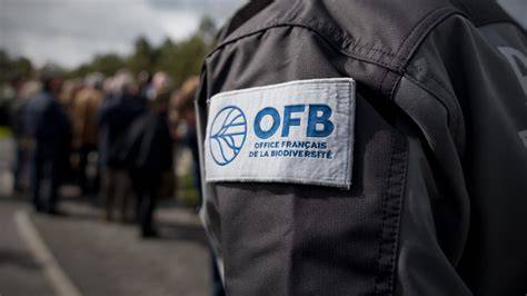 OFB à Rosheim