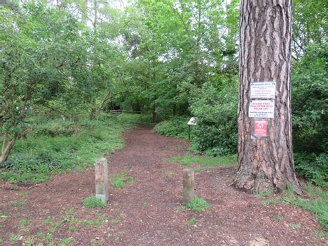 Oak Hill Wood Nature Reserve