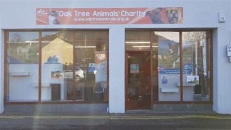 Oak Tree Animals' Charity Shop