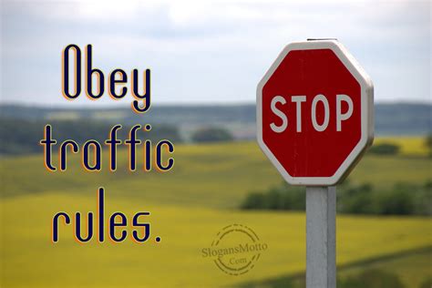 Obey Traffic Laws