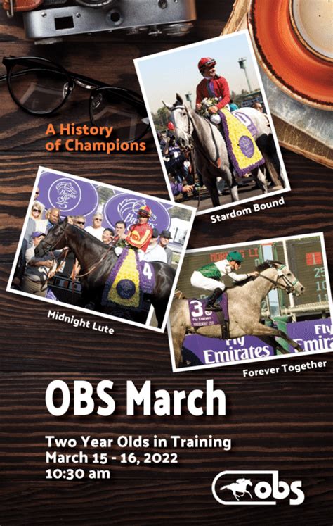Obs Sales Catalog