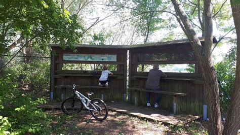 Observatoire à oiseaux à Brognard